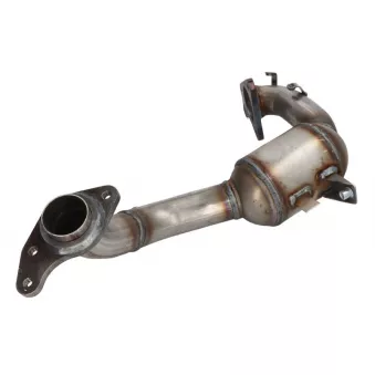Catalyseur JMJ 1091665