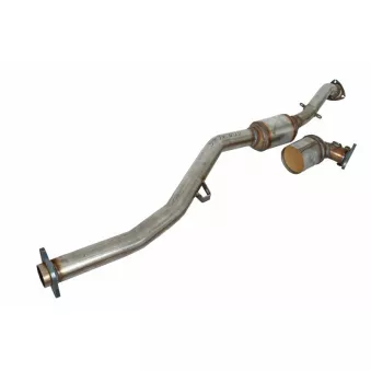 Catalyseur JMJ 1091675