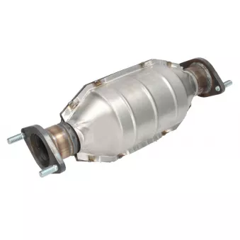 Catalyseur JMJ 1091687
