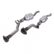 Catalyseur JMJ 1091590 - Visuel 1