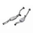 Catalyseur JMJ 1091590 - Visuel 2