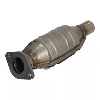 Catalyseur JMJ 1091736