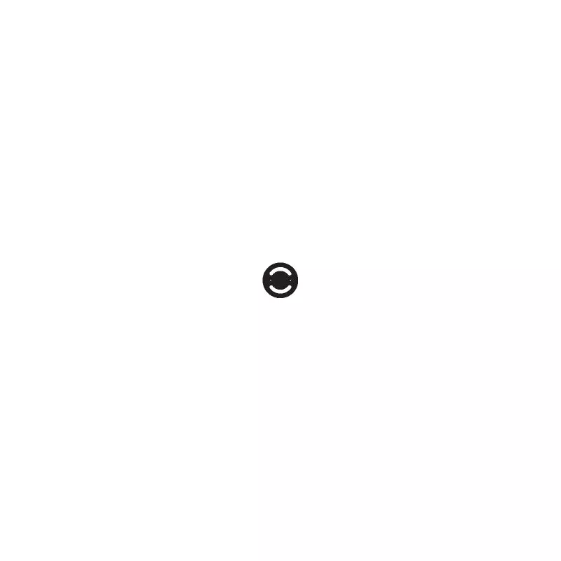 Anneau de fixation, silencieux DINEX 50906
