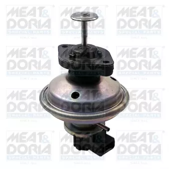 Vanne EGR MEAT & DORIA 88195E