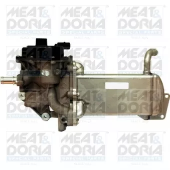 Module-EGR MEAT & DORIA