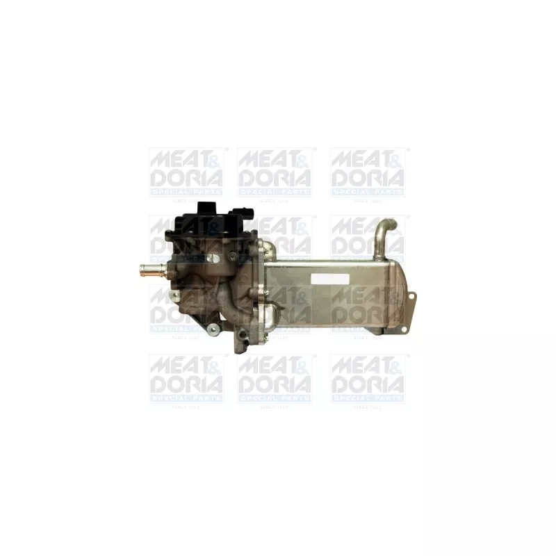 Module-EGR MEAT & DORIA 88202E