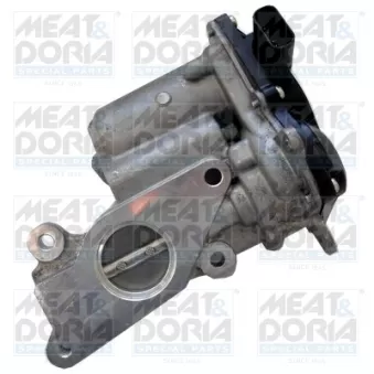 Vanne EGR MEAT & DORIA 88439R