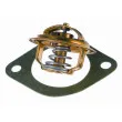 Thermostat d'eau WAHLER 3004.92D1 - Visuel 2