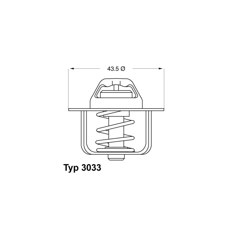 Thermostat d'eau WAHLER 3033.78