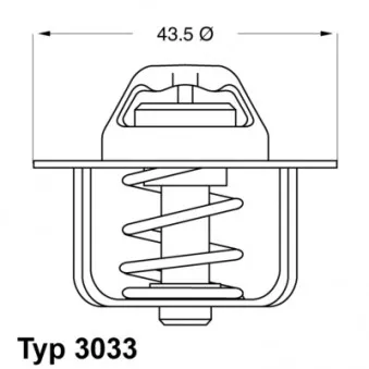 Thermostat d'eau WAHLER 3033.84
