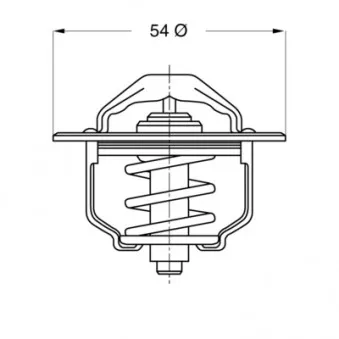 Thermostat d'eau WAHLER 3103.79