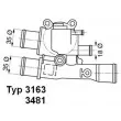 Thermostat d'eau WAHLER 3163.88D - Visuel 1