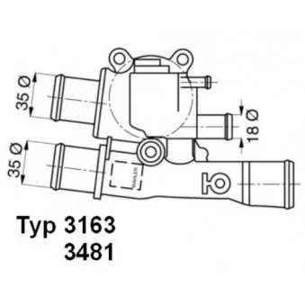 Thermostat d'eau WAHLER 3163.88D
