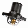 Thermostat d'eau WAHLER 3463.89D - Visuel 2