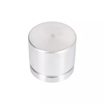 Piston, étrier de frein CQ CQ71544857