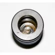 Piston, étrier de frein CQ CQ71384818 - Visuel 2