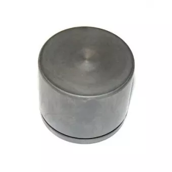 Piston d'étrier de frein CQ CQ71574619