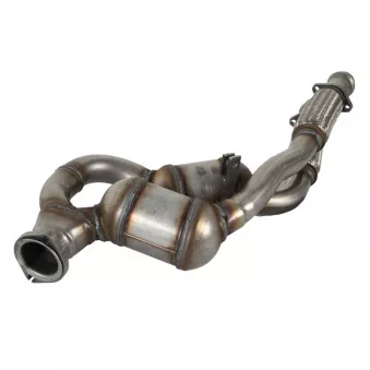 Catalyseur JMJ 1080161