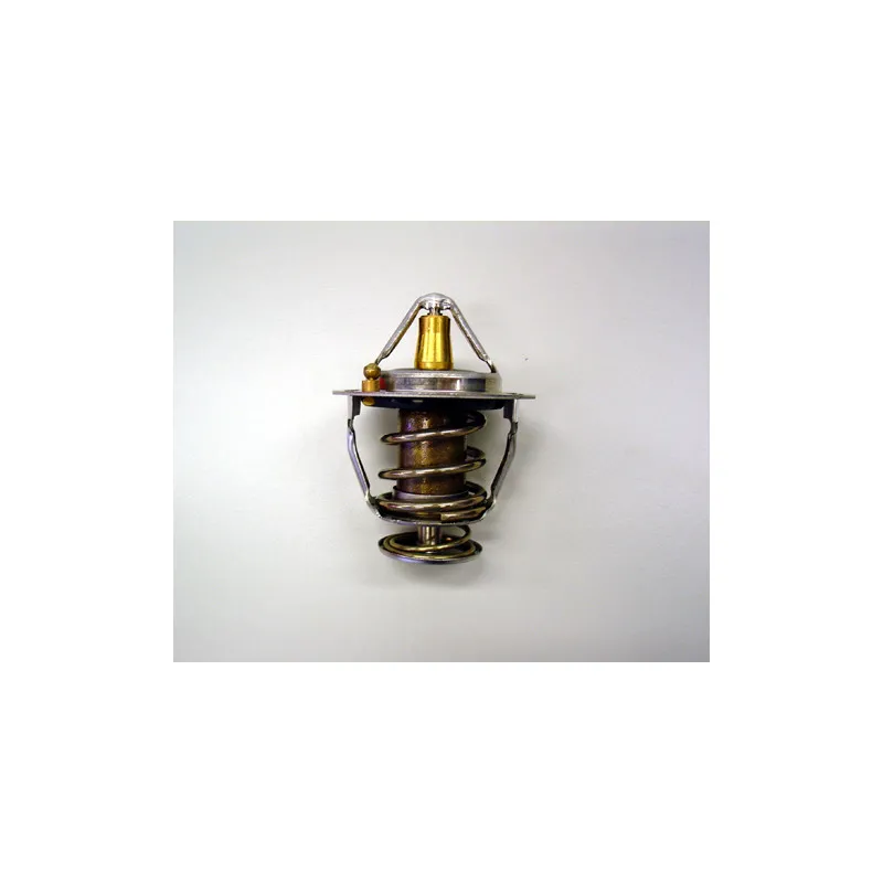 Thermostat d'eau WAHLER 410176.82D0