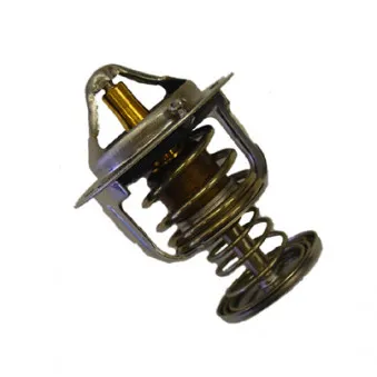Thermostat d'eau WAHLER 410201.80D