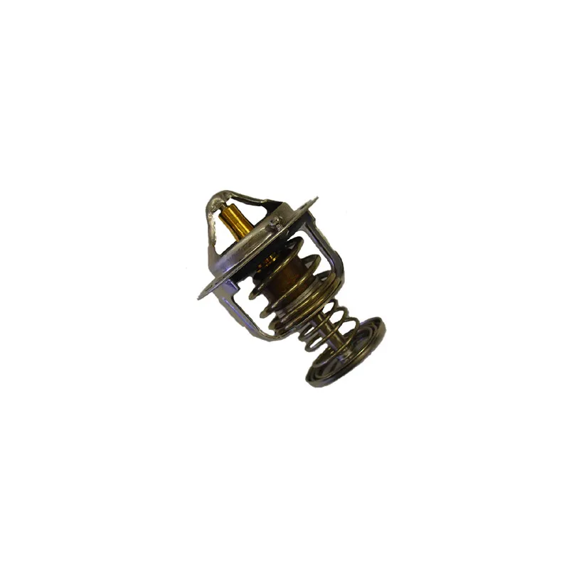 Thermostat d'eau WAHLER 410201.80D