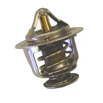 Thermostat d'eau WAHLER 410224.78D