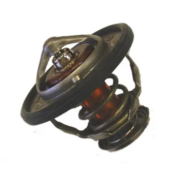 Thermostat d'eau WAHLER 410231.82D