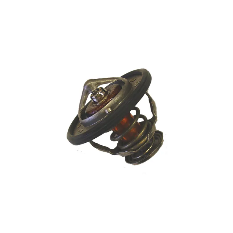 Thermostat d'eau WAHLER 410231.82D