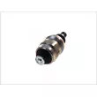 Electrovanne d'arrêt de pompe d'injection 7 Diesel S33040 - Visuel 2