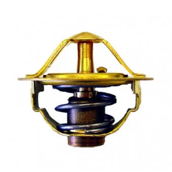 Thermostat d'eau WAHLER 410352.88D