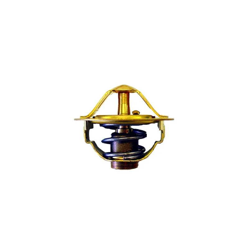 Thermostat d'eau WAHLER 410352.88D