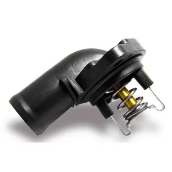 Thermostat d'eau WAHLER 410475.87D