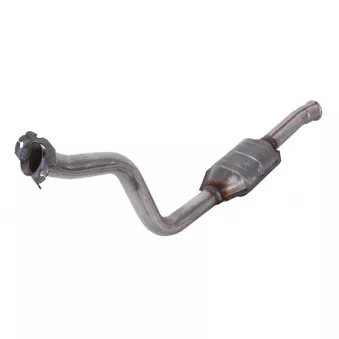 Catalyseur JMJ 1080350