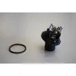 Thermostat d'eau WAHLER 410989.87D - Visuel 2