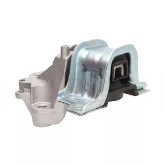 Suspension, boîte de vitesse manuelle MAGNETI MARELLI 030607010636