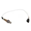 Sonde lambda MAGNETI MARELLI 466016355104 - Visuel 1