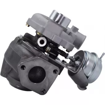 Turbocompresseur, suralimentation MAGNETI MARELLI 807101001400