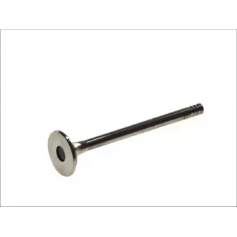 Soupape d'échappement PARADOWSCY PCIT006