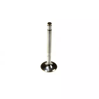 Soupape d'échappement PARADOWSCY PMER059