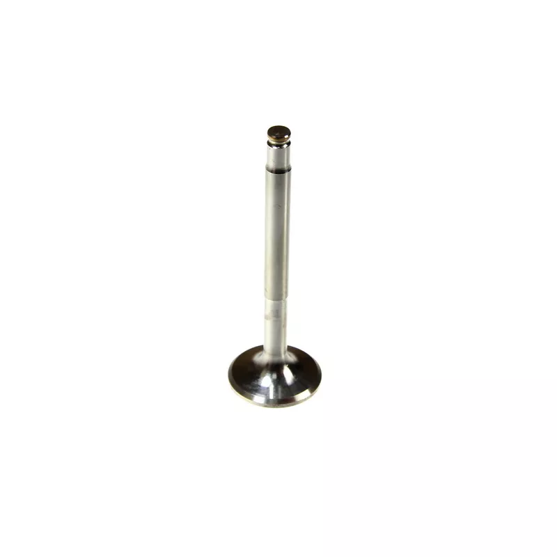 Soupape d'échappement PARADOWSCY PMER059