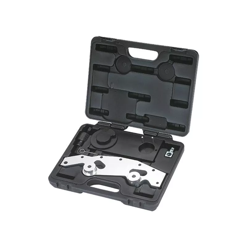 Piges de calage moteur PROFITOOL 0XAT1107