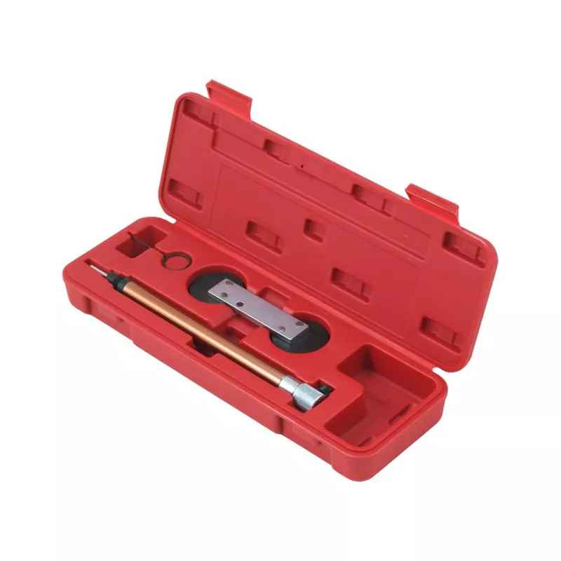 Piges de calage moteur PROFITOOL 0XAT1538