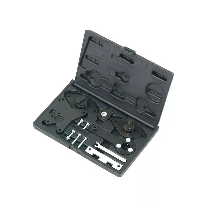 Piges de calage moteur PROFITOOL 0XAT1683