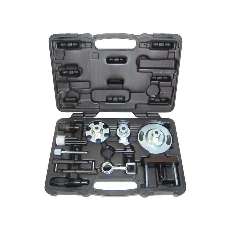 Piges de calage moteur PROFITOOL 0XAT1621