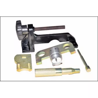 Piges de calage moteur PROFITOOL 0XWAR0103