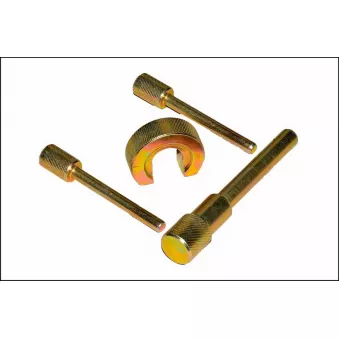 Piges de calage moteur PROFITOOL 0XWAR0117