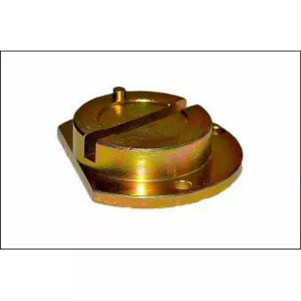 Piges de calage moteur PROFITOOL 0XWAR0287