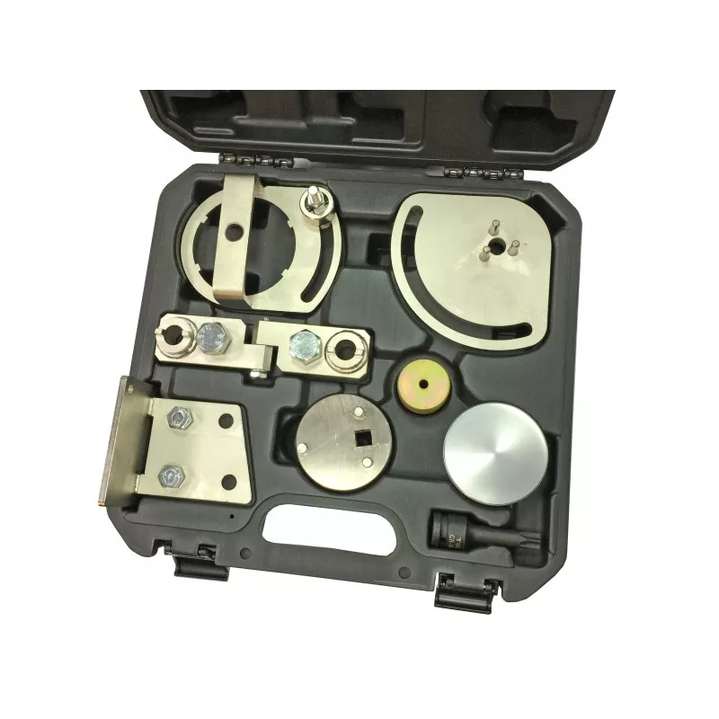 Piges de calage moteur PROFITOOL 0XAT1851