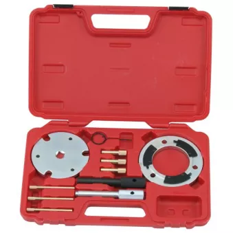 Piges de calage moteur PROFITOOL 0XAT1556
