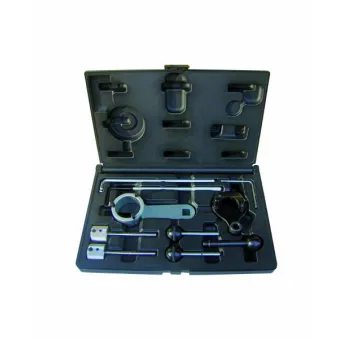 Piges de calage moteur PROFITOOL 0XAT0029